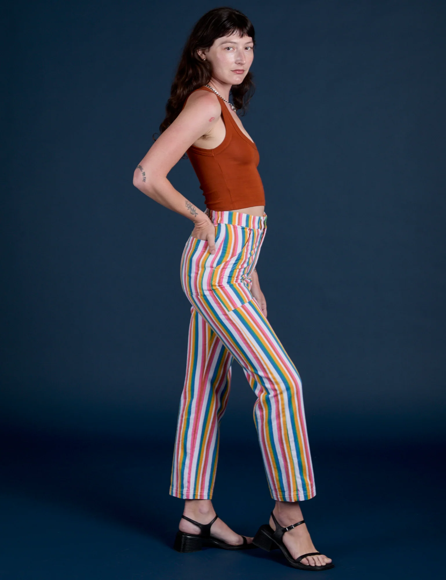 Work Pants - Rainbow Stripe - Image 4