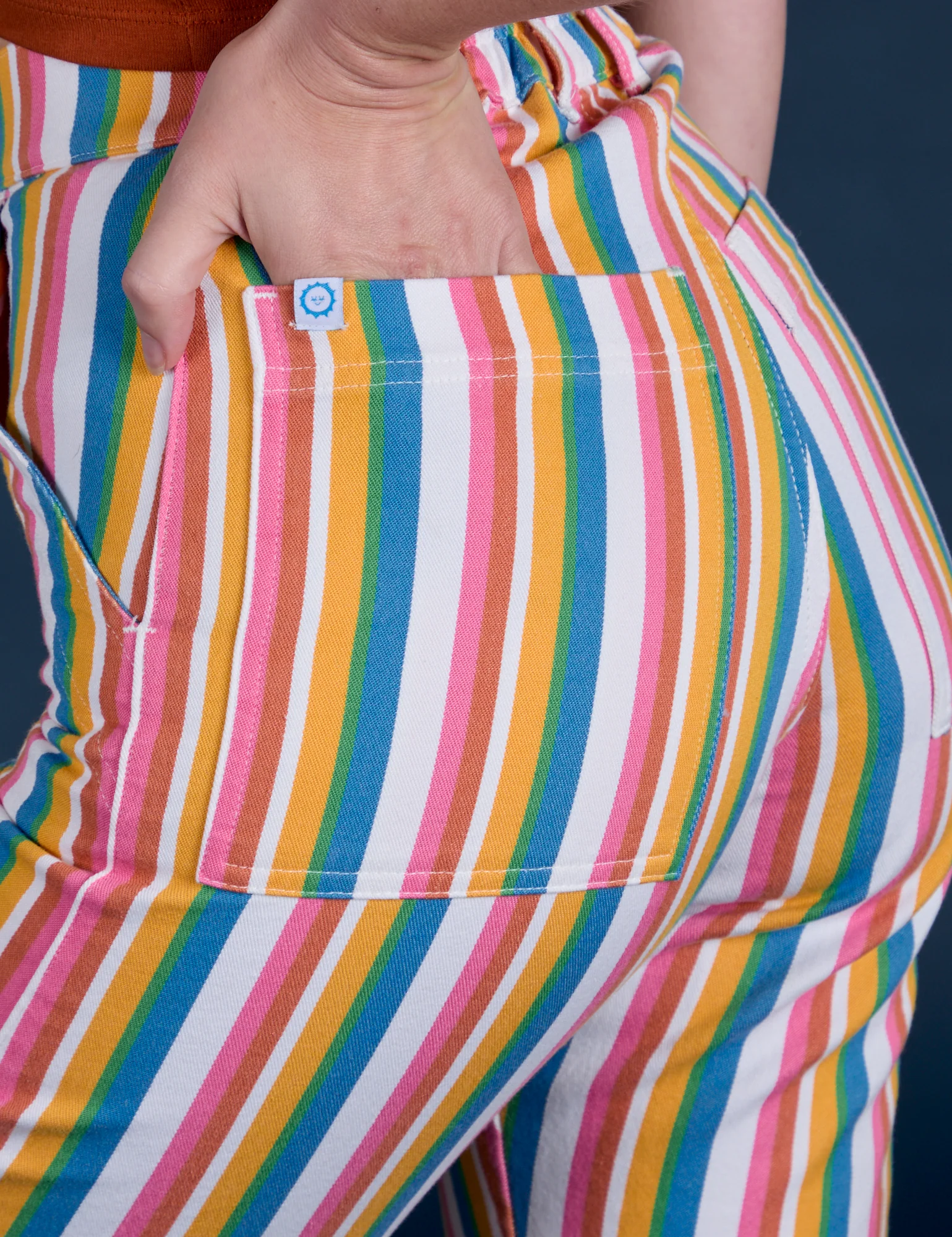 Work Pants - Rainbow Stripe - Image 7